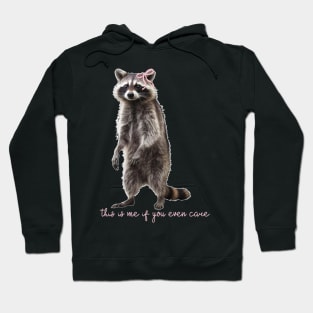 Raccoon Cute Coquette pale pink ribbon bows  girly aesthetic this is me if you even care Hoodie